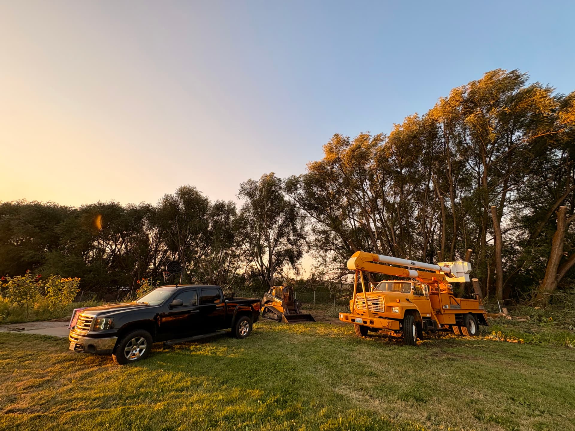 PENA TREE & LAND LLC fleet — black pickup, skid steer, and orange bucket truck at sunset