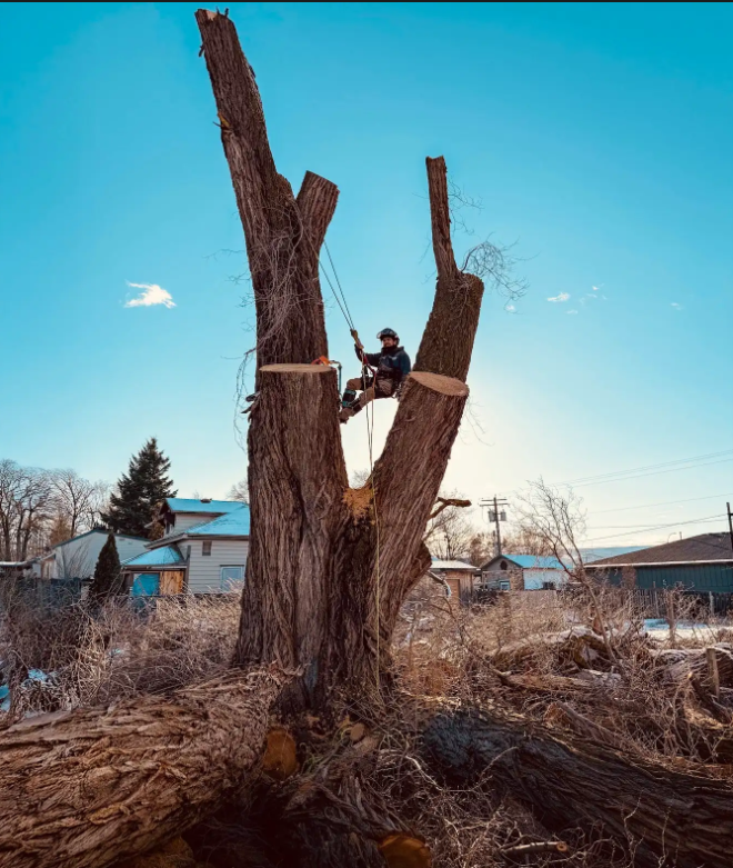 Climber making cuts during a winter storm