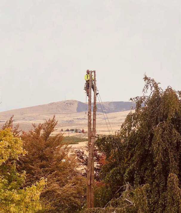 Climber topping a tall spar with the valley in the background