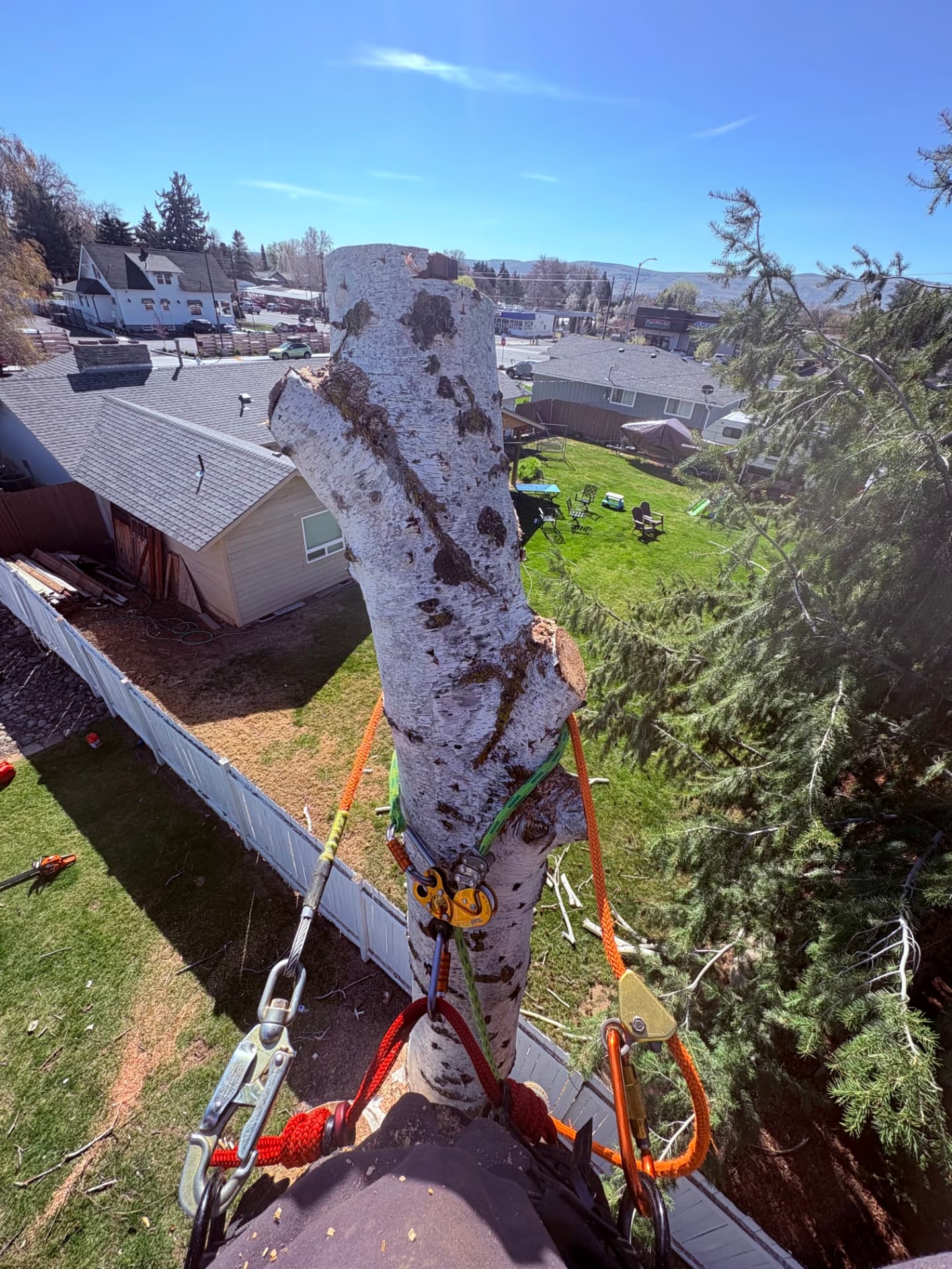 Climber's view down a rigged birch spar over a neighborhood